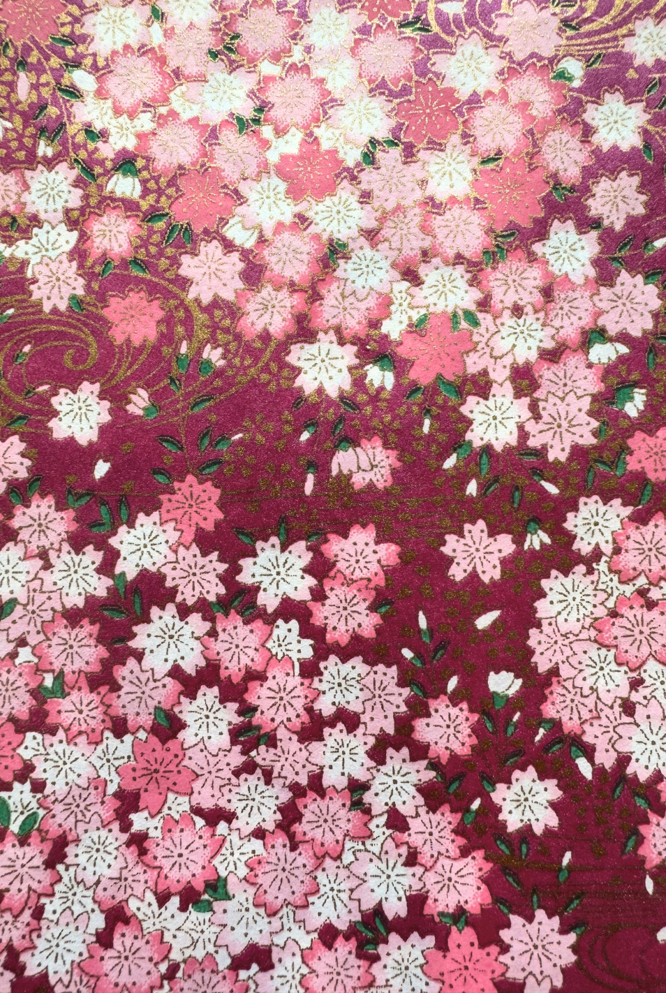 cherry-blossom symbolize beauty, renewal, and the fleeting nature of life. Their brief reminds us to cherish each moment